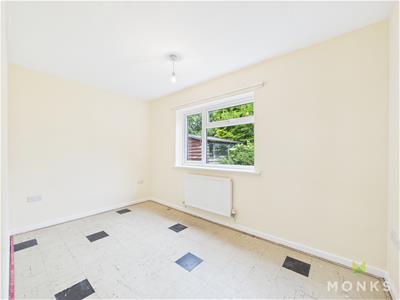 Picture 11